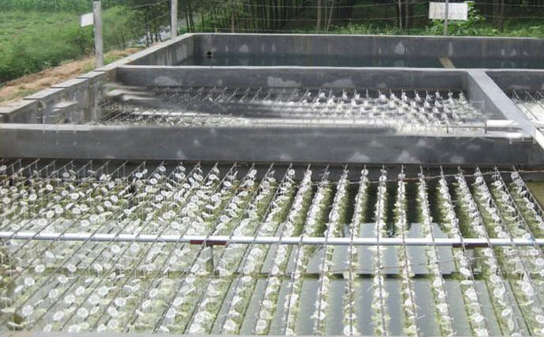 ���׏Uˮ̎�������O(sh��)��a(ch��n)Ʒ��(y��u)��